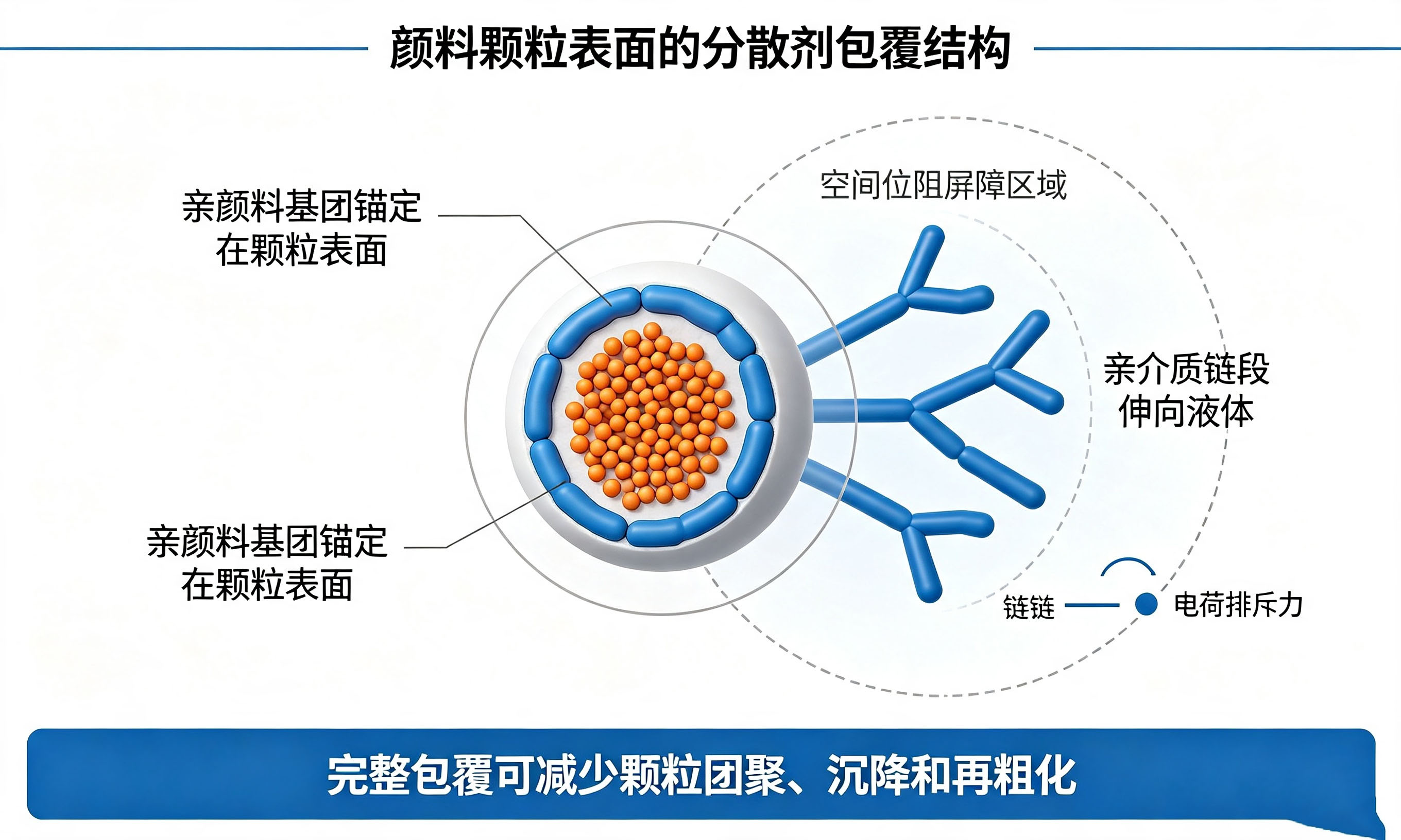 涂料分散剂在颜料表面吸附形成保护层结构示意