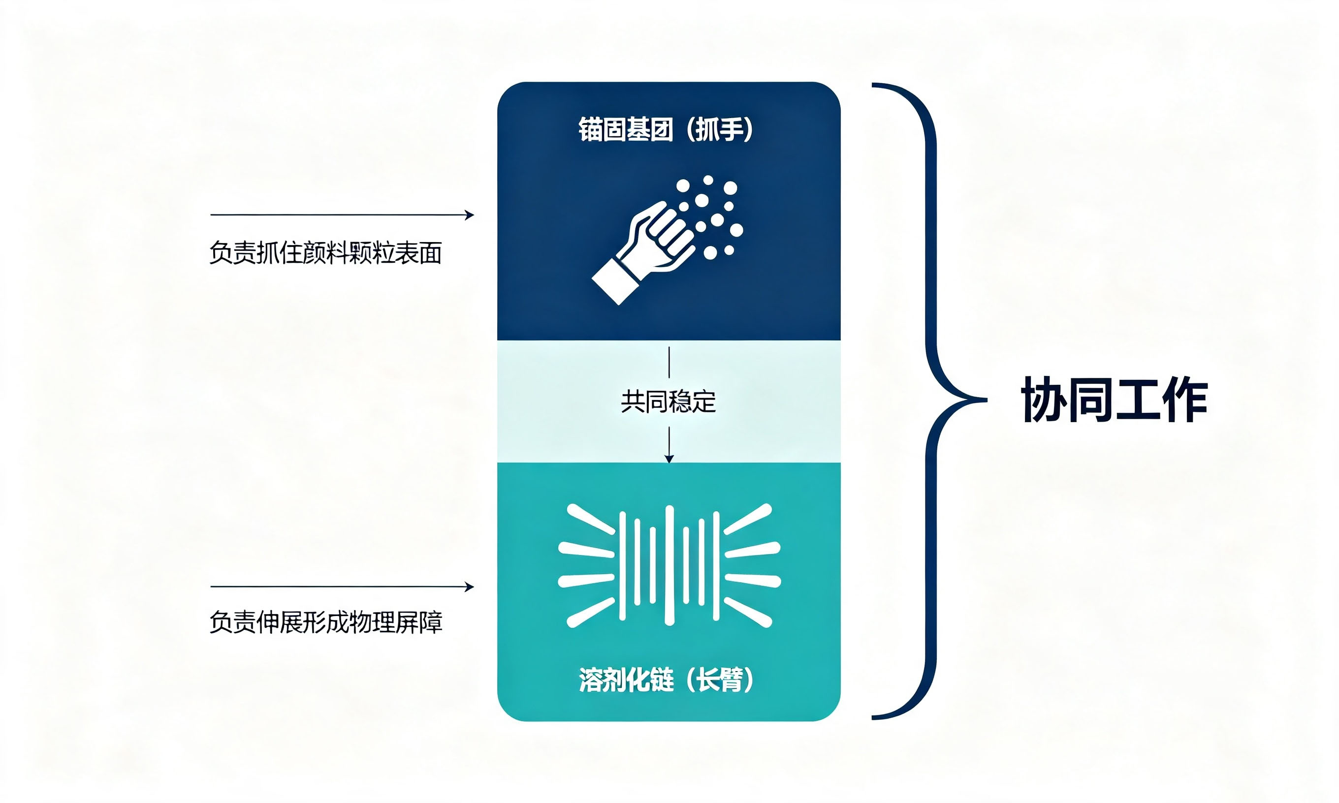 油墨分散剂双模块功能分工:锚固基团与溶剂化链